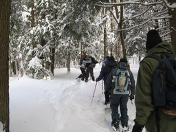 Spruce Bog Trail, Grafton , NY.