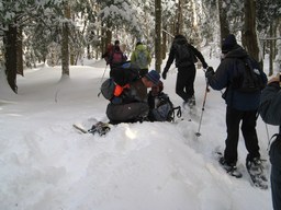 Spruce Bog Trail, Grafton , NY.