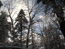 Spruce Bog Trail, Grafton , NY.