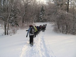 Spruce Bog Trail, Grafton , NY.