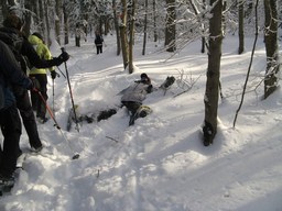 Spruce Bog Trail, Grafton , NY.