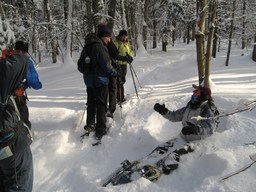 Spruce Bog Trail, Grafton , NY.