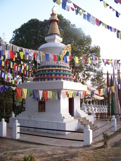 Sherab Ling Monastery, India.