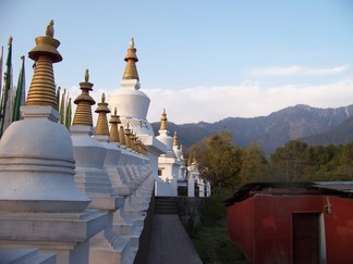 Sherab Ling Monastery, India.