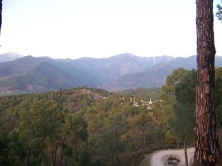 Road to Sherab Ling Monastery.