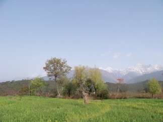 Road to Sherab Ling Monastery.