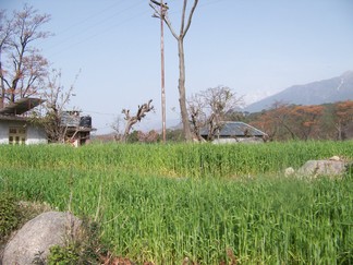 Road to Sherab Ling Monastery.