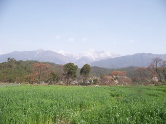 Road to Sherab Ling Monastery.