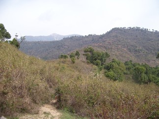 Tashi Jong Monastery, India.