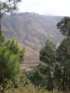 Tashi Jong Monastery, India.