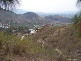 Tashi Jong Monastery, India.