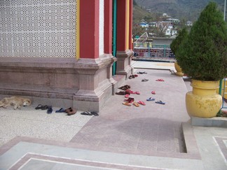 Tashi Jong Monastery, India.