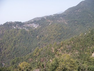 Dharamsala.