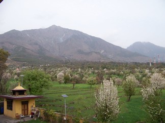 Gyuto Tantric Monastery.