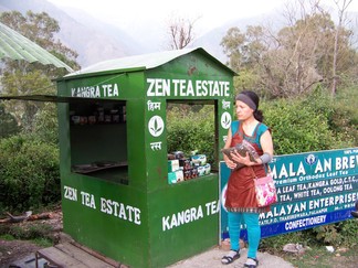 Ozzie at Zen Tea Estate.