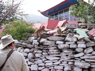 Tso Pema Lake.