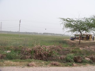 Return to Delhi, India.