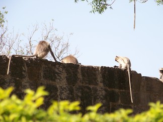 Daulatabad Fort, India.