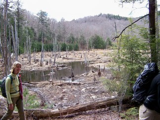 Black Mtn Loop, Lake George, NY.