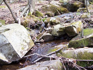 Buck Mtn, Lake George, NY.