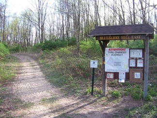 Blueberry Hill East, Pine Bush Park, Albany, NY.