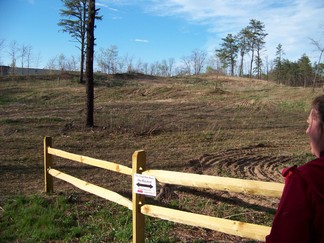 Blueberry Hill East, Pine Bush Park, Albany, NY.