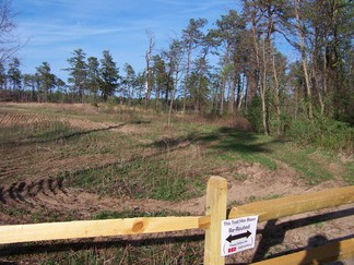 Blueberry Hill East, Pine Bush Park, Albany, NY.