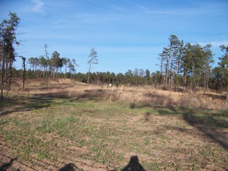 Blueberry Hill East, Pine Bush Park, Albany, NY.