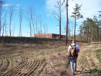 Blueberry Hill East, Pine Bush Park, Albany, NY.