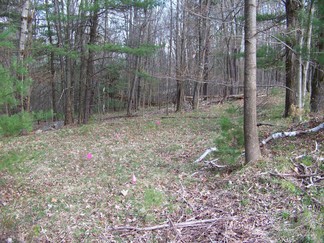 Trail Blazing, Grafton State Park, NY.