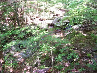 Escarpment Loop, North South Lake, NY.