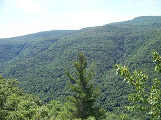 Escarpment Loop, North South Lake, NY.