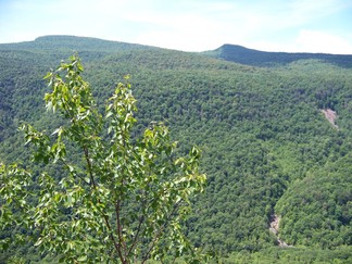 Escarpment Loop, North South Lake, NY.