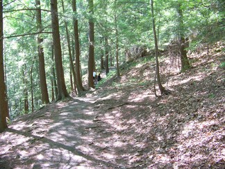 Treman State Park, NY.