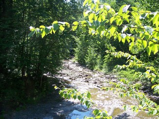 Treman State Park, NY.