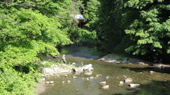 Berkshires Bike Ride, Great Barrington, MA loop.