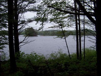 Hike around Lake Tully, NY.