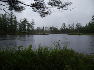 Hike around Lake Tully, NY.