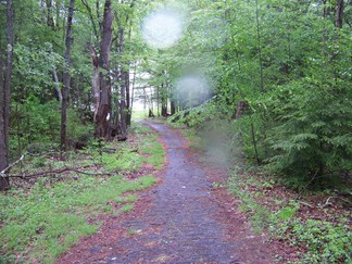 Hike around Lake Tully, NY.