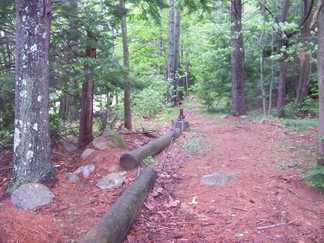 Hike around Lake Tully, NY.