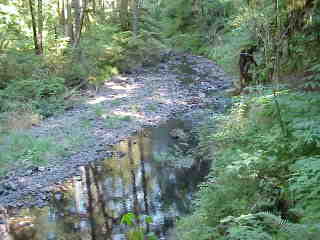 Silver Falls, OR.