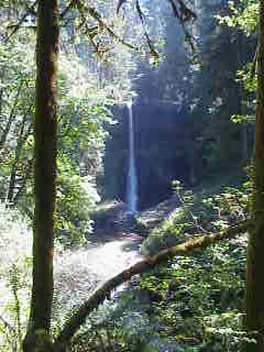 Silver Falls, OR.