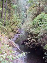 Silver Falls, OR.