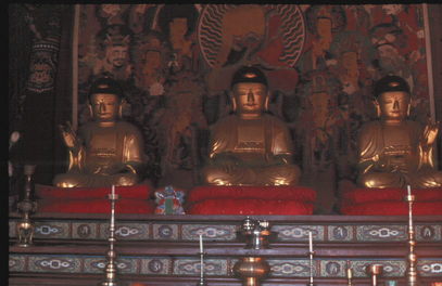 Dong Wah Sah Buddhas.