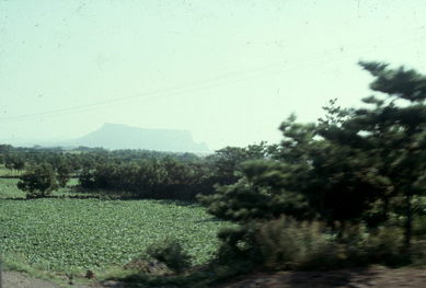 Cheju Doh Sunrise Peak.