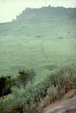 Cheju Doh Sunrise Peak.