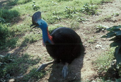 Taipei Zoo.