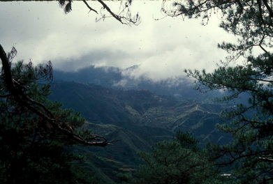 Bagio nature trail.