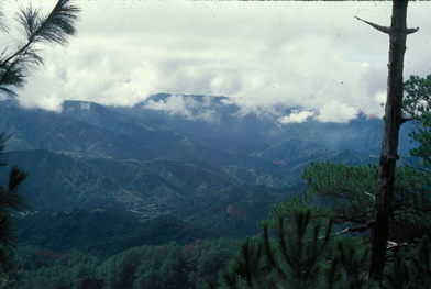 Bagio nature trail.