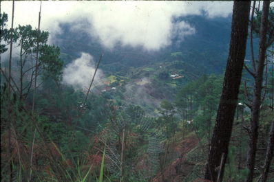 Bagio nature trail.